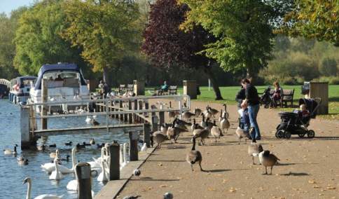 Thames Path Marlow