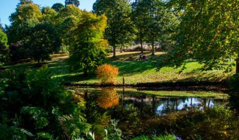 Savill Garden, Windsor