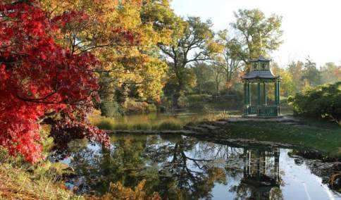 Cliveden National Trust, Water Garden, November