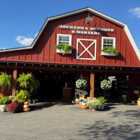 All in The Family – Jackson’s Orchard