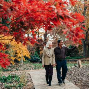 Your Itinerary to the Perfect Fall Day in and Around Bowling Green