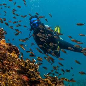 Diving enthusiast in the midst of a fish-filled underwater reef.