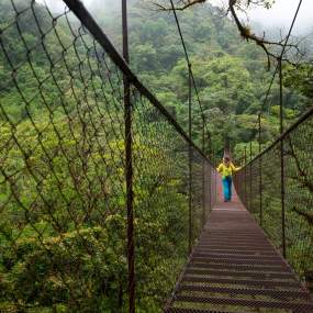 Woman Walking in beautiful Hanging bridge (facing backwards) lots of background vegetation