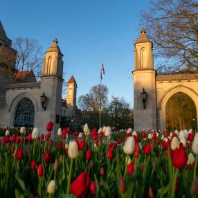 sample gates spring