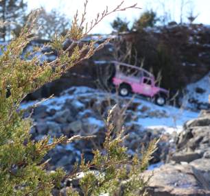 Pink jeep