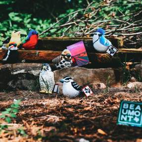 Plush birdies from Beaumont CVB