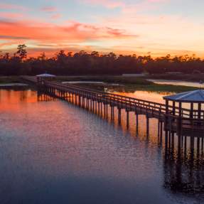 Cattail Marsh Scenic Wetlands Boardwalk In Beaumont, TX