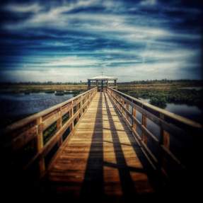 Cattail Marsh Boardwalk In Beaumont, TX