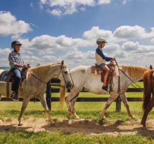 Kentucky Horse Park