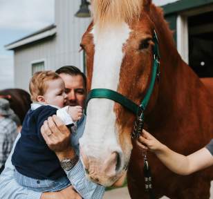 Horse Activities