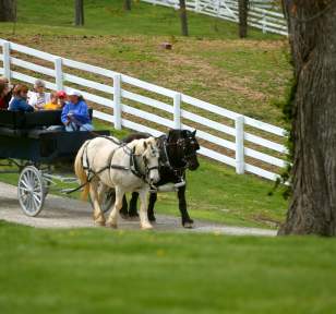 Shaker Village Carriage Ride