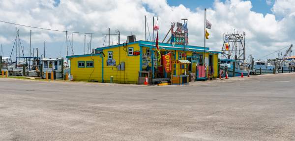 Bait Stands
