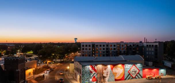Shepard Fairey Mural night
