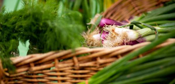 Farmers-Market produce