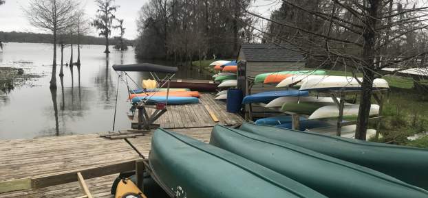 Kayak Rentals