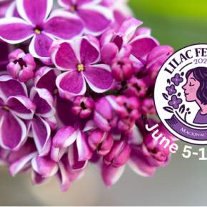 Flower centric and lilac events - Lilac Festival