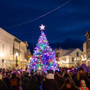 Christmas Tree Lighting + Live Stream