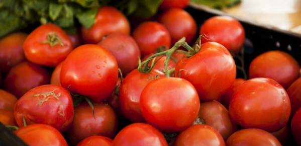 Farmers Market Produce Tomatoes