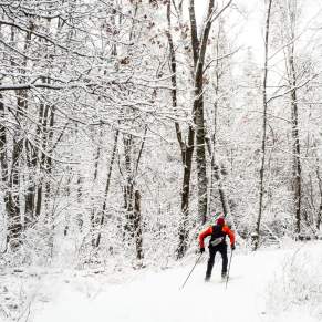 Skiing, cross country, winter, cold, snow