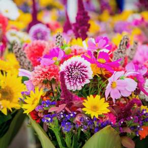 Head downtown to grab a fresh bouquet of flowers from a local vender today in the Stevens Point Area.