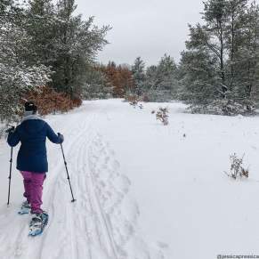 Snowshoeing on the trail