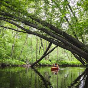 A kayaker enjoys the quiet solitude of the tomorrow river's pine covered waterways.