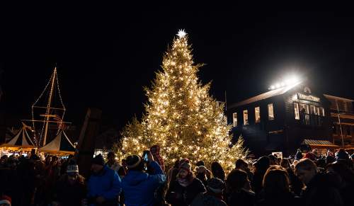 Bowen's Wharf Tree Lighting
