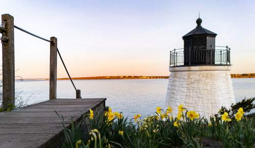 Newport Daffodil Days Castle Hill Lighthouse Sunset Flowers
