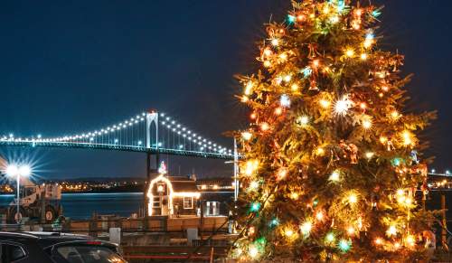 Jamestown Holiday tree