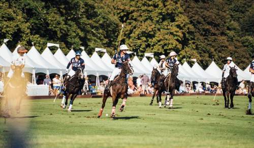 Newport Polo