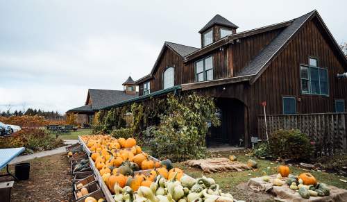 Sweet Berry Farmhouse With Pumpkins and Squash Out Front In Newport, RI