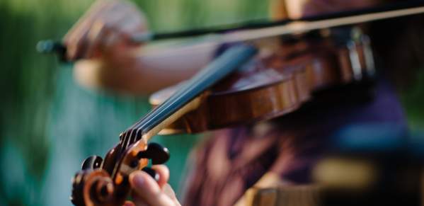 Fiddle Player