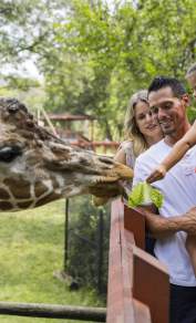 Blank Park Zoo