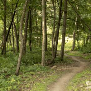 Hiking