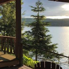 Lake Lady Properties
