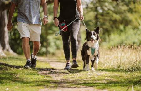 Couple walking dog on countryside path