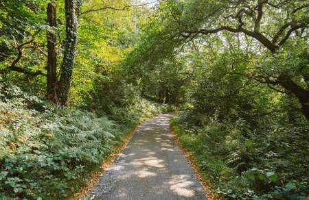 Natur a Bywyd Gwyllt ym Abertawe