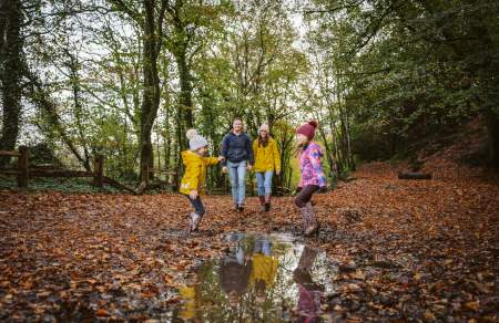 A family walking through Penllegare woods