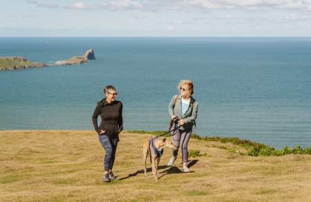 Couple walking their greyhound on coastline