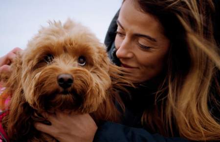 A dog owner’s guide to Swansea Bay this Autumn