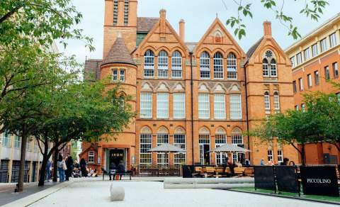 Ikon Galley with green leaf trees