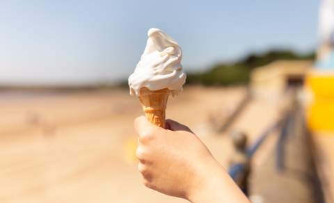 What are the best things to do in Conwy County this summer?