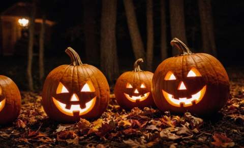 Pick your perfect Halloween adventure in Conwy County
