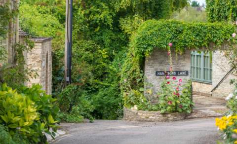 Woodstock street in the summer