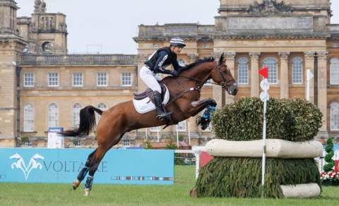 Blenheim Horse Trials