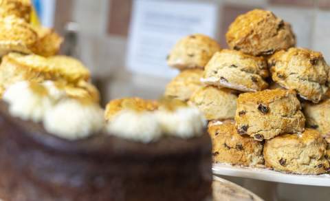 Scones and chocolate cake at the Aston Pottery Cafe