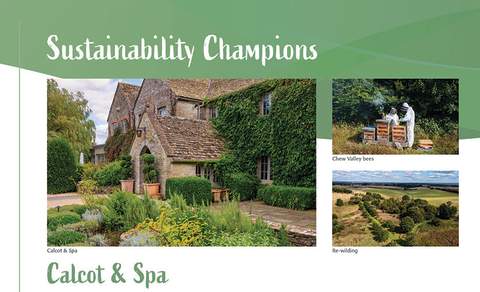 An image showing the top of the Calct & Spa Sustainability Champions case study