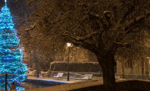 Go Cotswolds Christmas Tours in The Cotswolds