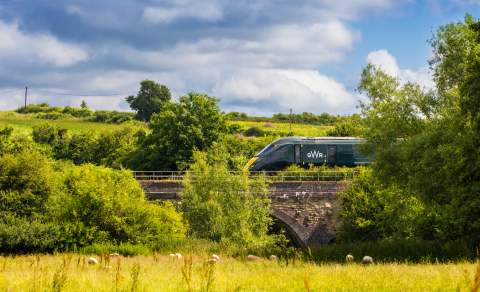 A train travels  through the Cotswolds past trees and fields where sheep graze