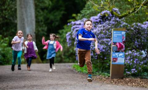 Westonbirt this Spring